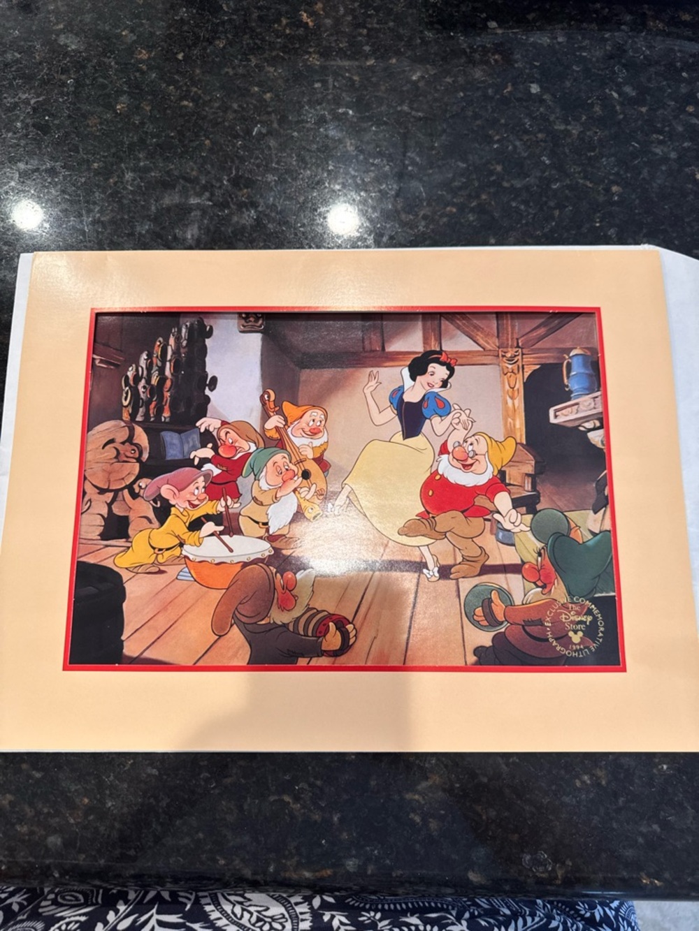 NEW Disney Exclusive Commemorative Lithograph 1994